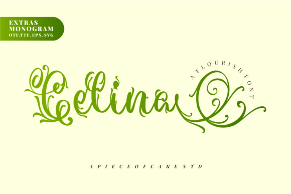 Celina Duo: A Decorative Font for Creative Web Design