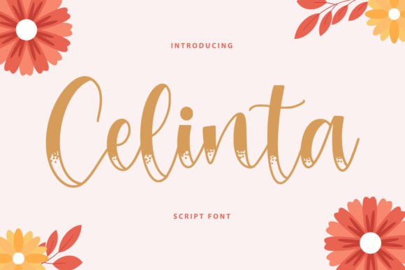Celinta: The Font That Elevates Your Brand’s Visual Story