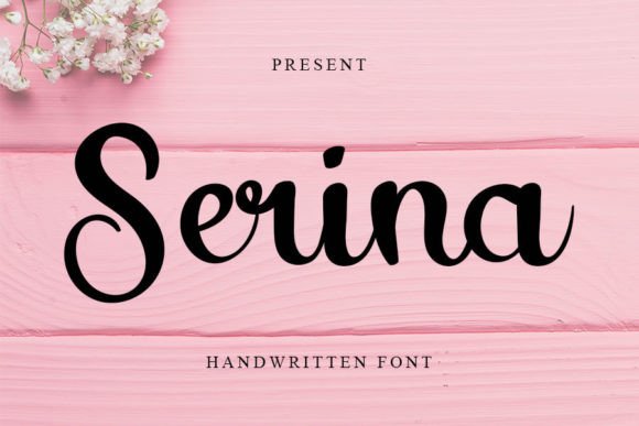 Discover Serina: The Perfect Font for Small Business Branding