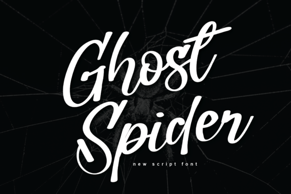 Ghost Spider: A Script Handwritten Font for Modern Branding
