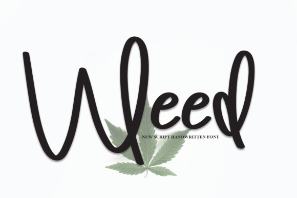 Weed: A Luxurious Script Font for Web Design
