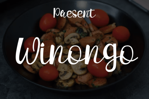 Winongo: A Script Handwritten Font That Elevates Your Design